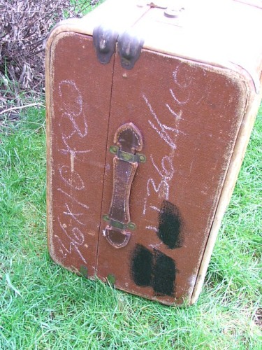 Vintage Luggage Trunk