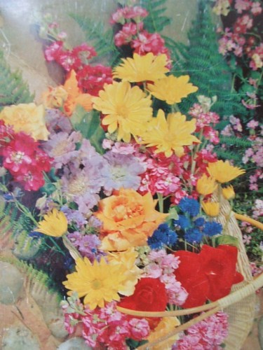 Pretty Vintage Floral McVities Biscuit Tin