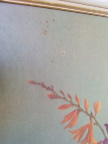 Floral Vernon Ward Print