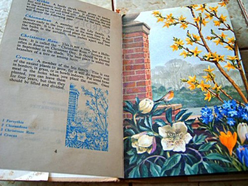 The Ladybird Book of Garden Flowers