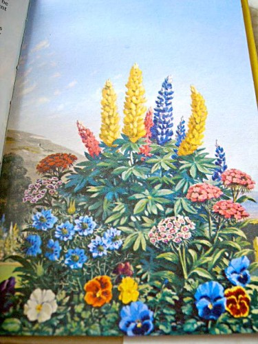 The Ladybird Book of Garden Flowers