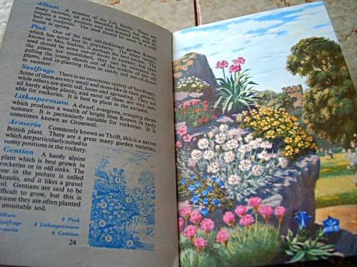 The Ladybird Books of Garden Flowers