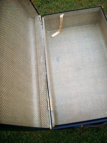 Vintage Luggage Trunk