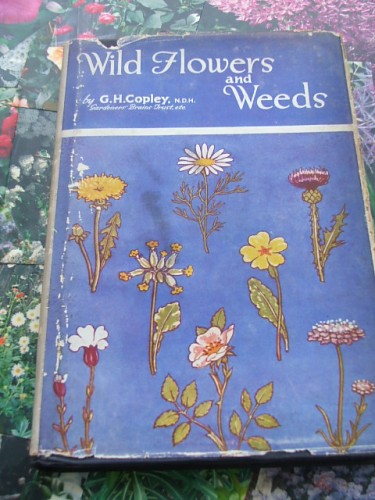 Wild Flowers and Weeds by G H Copley
