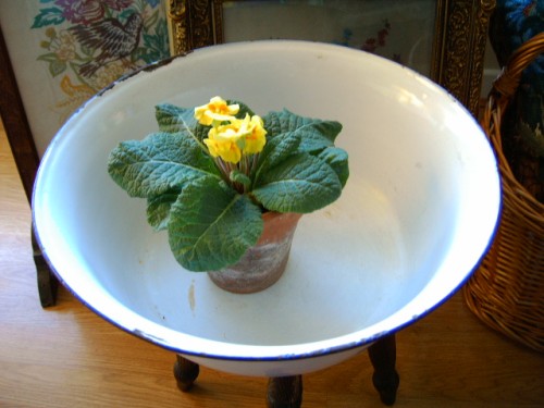 Country Large Enamel Bowl