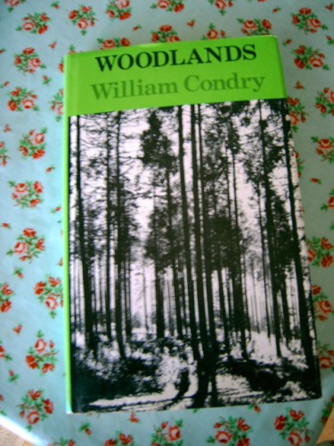 'Woodlands' by William Condry