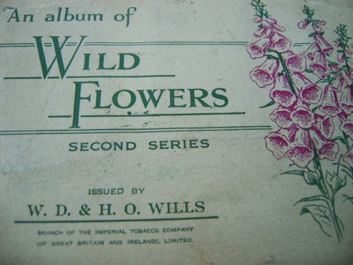 Wild Flowers Cigarette Cards