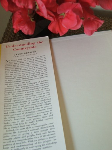 Understanding the Countryside book