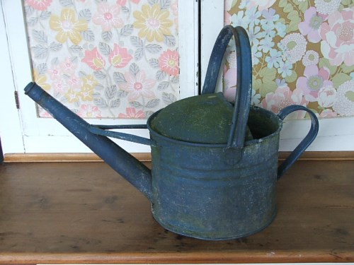 Old Galvanised Watering Can